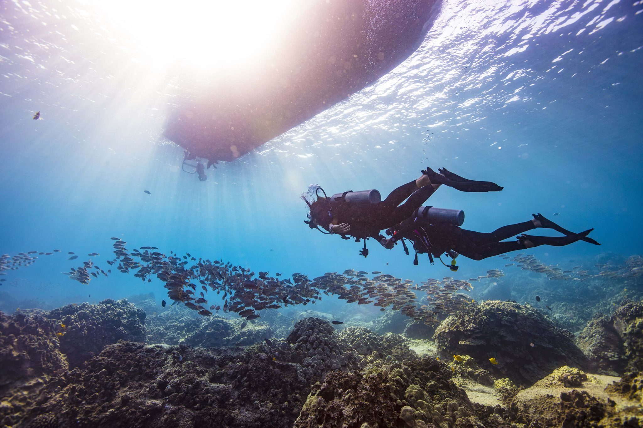 PADI Dive Master