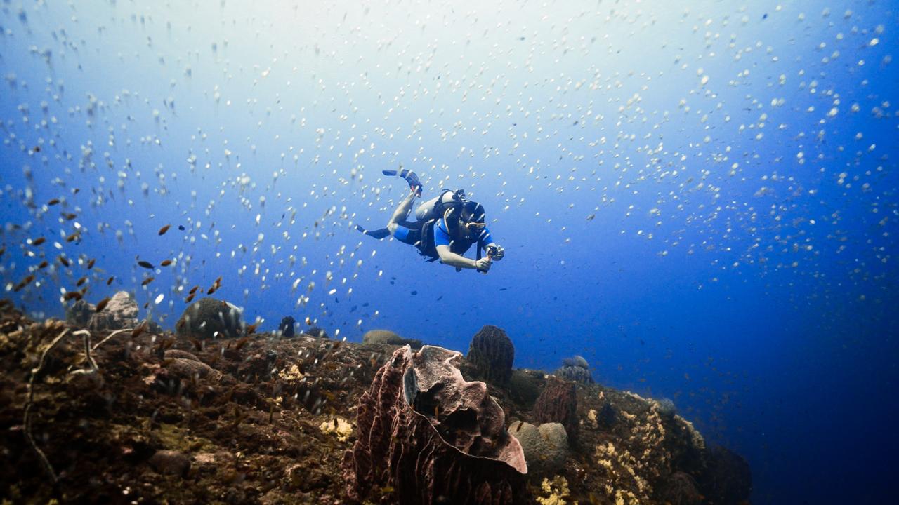 Living Landscapes: An Introduction to Tropical Marine Ecosystems